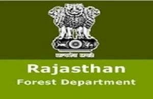 rajasthan forest guard vacancy 2022,rajasthan forest guard & forester recruitment 2022,rajasthan forest guard bharti 2022,rajasthan forest guard recruitment 2022,rsmssb forest guard & forester recruitment 2022,rajasthan forest guard form 2022,rajasthan forest guard notification 2022,rajasthan forest guard exam date 2022,rajasthan forest guard recruitment 2022 age limit,rajasthan forest guard bharti,rssb forest guard new notification 2022