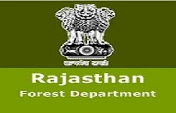 rajasthan forest guard vacancy 2022,rajasthan forest guard & forester recruitment 2022,rajasthan forest guard bharti 2022,rajasthan forest guard recruitment 2022,rsmssb forest guard & forester recruitment 2022,rajasthan forest guard form 2022,rajasthan forest guard notification 2022,rajasthan forest guard exam date 2022,rajasthan forest guard recruitment 2022 age limit,rajasthan forest guard bharti,rssb forest guard new notification 2022