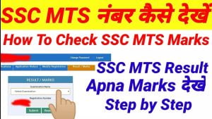 SSC MTS Tier 1 Marks 2022 