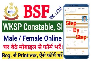 BSF Constable SI Online Form 2022