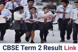 CBSE Board Term 2 Passing Marks 2022 