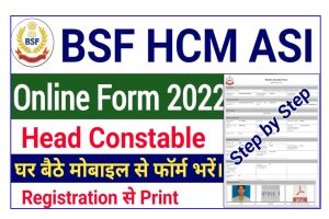 BSF Head Constable Ministerial ASI Stenographer Online Form 2022