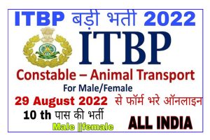 ITBP Constable Animal Transport Recruitment 2022 Apply Online Notification  Out For 52 Post - All Jobs For You