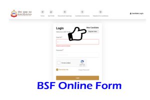 BSF HC Ministerial Online Form 2022