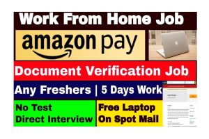 Amazon Pay Work From Home Online Form 2022