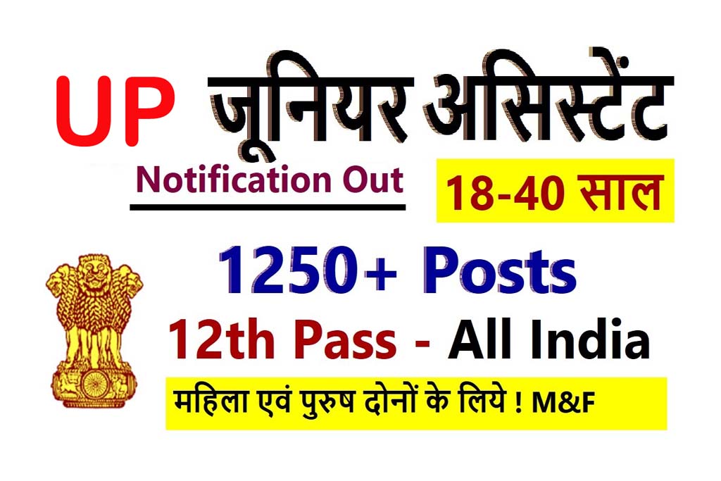 UPSSSC 10+2 Junior Assistant Recruitment 2022 Notification For 1262 Post  Apply Online Form - All Jobs For You