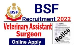 BSF Assistant Surgeon Online Form 2023