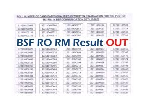 BSF RO RM Result 2022