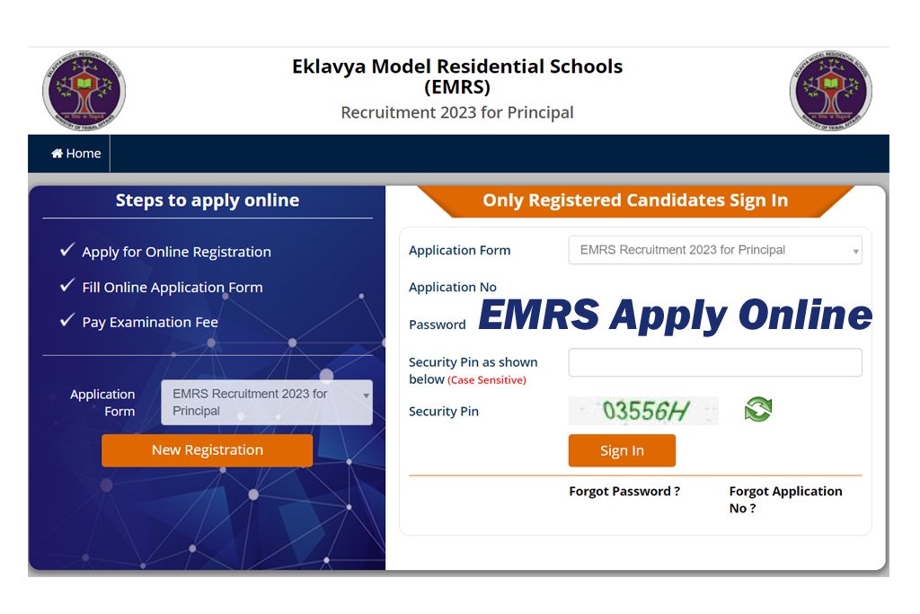 EMRS Online Form 2023 Teaching and Non-Teaching Posts