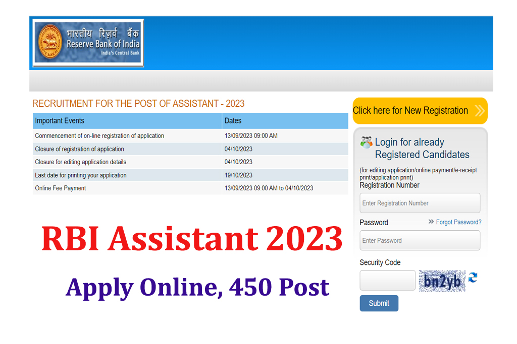 RBI Assistant Online Form 2023