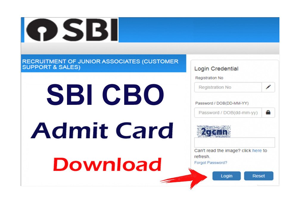 SBI CBO Admit Card 2024 Download Link, Exam Date All Jobs For You