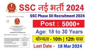 SSC Selection Post Phase 12 Online Form 2024