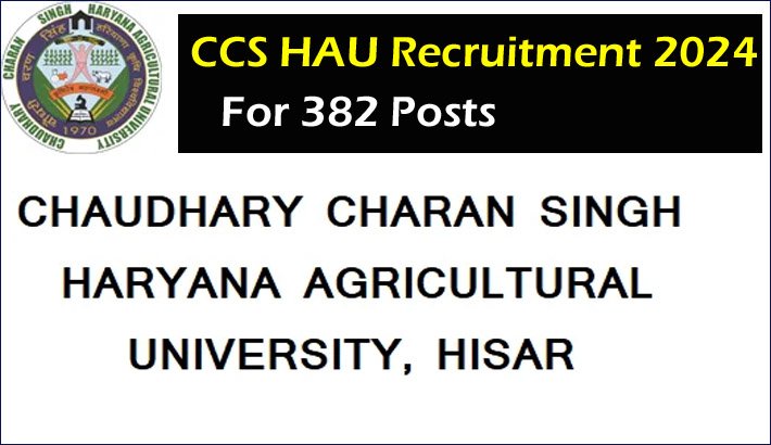 CCS HAU Recruitment 2024