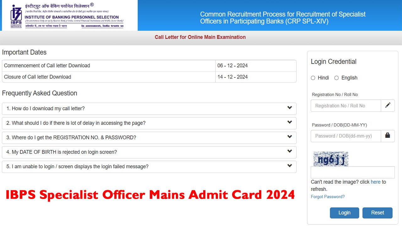 IBPS Specialist Officer Admit Card 2024