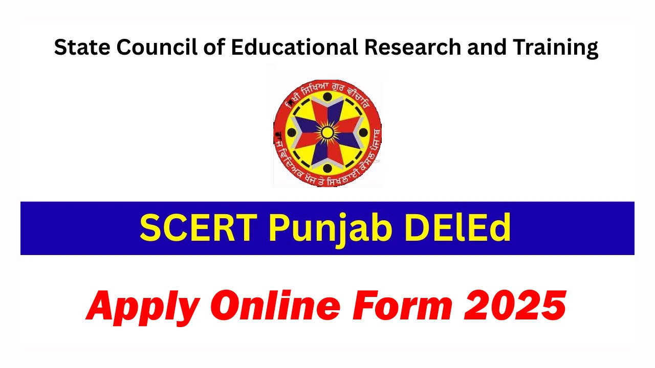 Punjab DElEd Online Form 2025