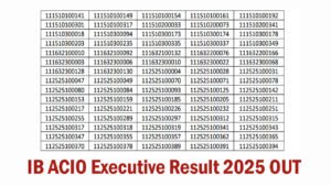 IB ACIO Executive Result 2025