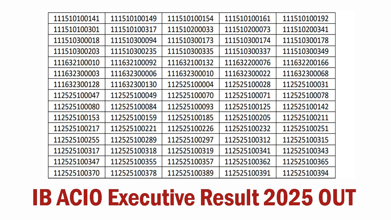 IB ACIO Executive Result 2025